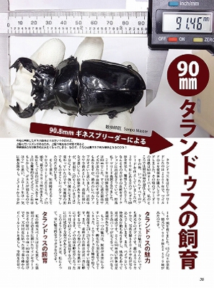 �r�[�N���T�R��[617]