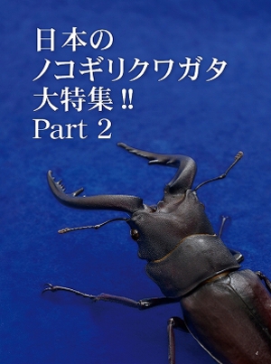 �r�[�N���T�T��[621]