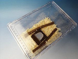 �N���オ��_[712]