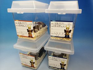 �� ���̊Ǘ��V�[���@�i15�����j[713]