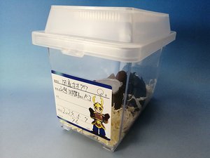 �� ���̊Ǘ��V�[���@�i15�����j[713]