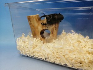 ���� ���[714]