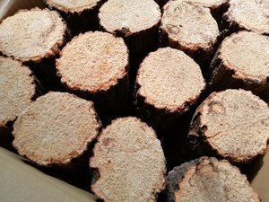 �� �N�k�M�@A��[721]