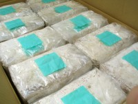 工場直送の菌糸ブロックはケース単位で送料無料