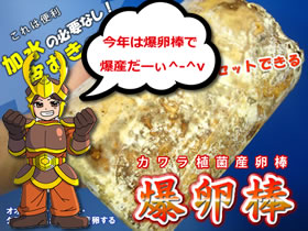 �J���������_