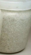 カワラタケ菌糸瓶「Beat」1400