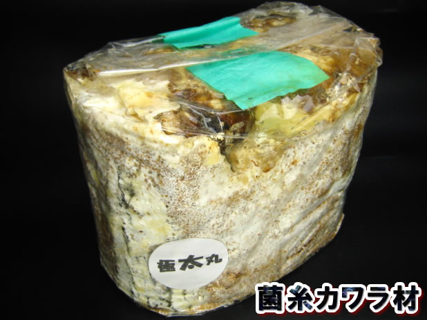 菌糸カワラ材