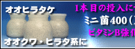 オオヒラタケのミニ菌400はこちら