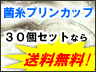 �ێ��v�����J�b�v���R�O�Z�b�g�ő�������
