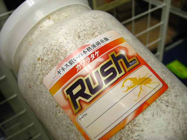 ێr/J^Pێrivj J^PێrvuRushv WOO (i^Cvj) [010]