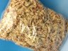 昆虫用ミズゴケ(水苔)