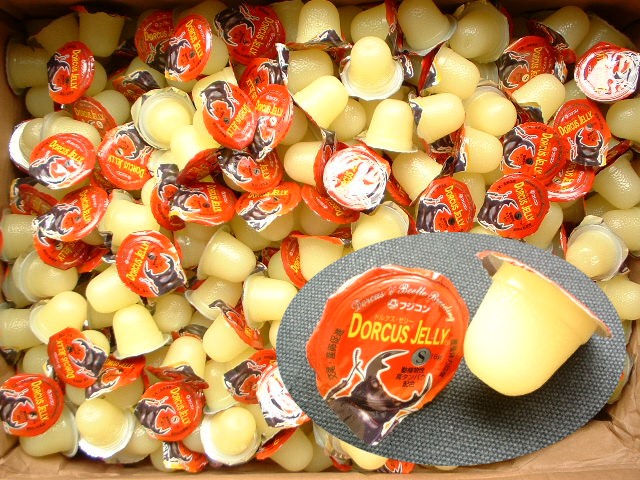 高タンパクゼリーのフジコン製 ドルクスゼリー16g