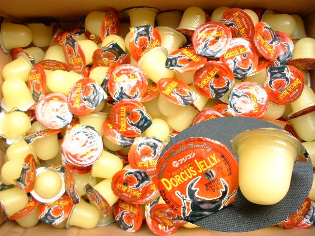 フジコン製の高タンパクゼリー ドルクスゼリー30g
