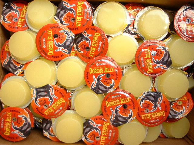 フジコン製の高タンパクゼリー ドルクスゼリー65g