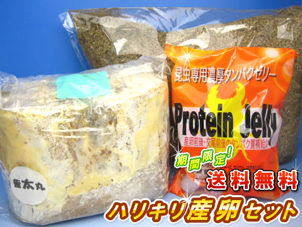 お買い物の 『ついで』 にハリキリ産卵セットをあわせて買うと、ぜんぶ送料無料!