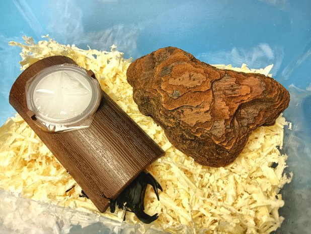 18g���C�h�^�C�v�̃[���[���͂߂��[���[�z���_�[���C�h �h�[���̉��́A�N���K�^������������A���S�n�̗ǂ����肵���Q���� ^^)