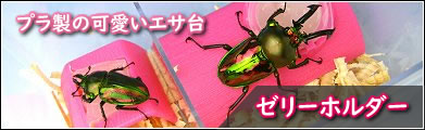 オオヒラタケのミニ菌400はこちら