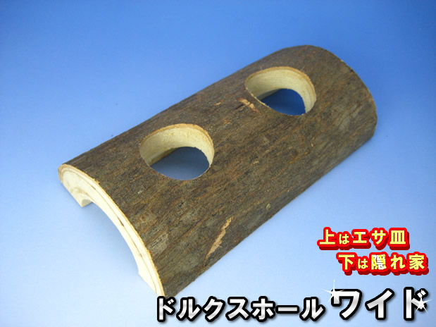 ドルクスホール【ワイド】 クワガタやカブトムシのエサ皿や