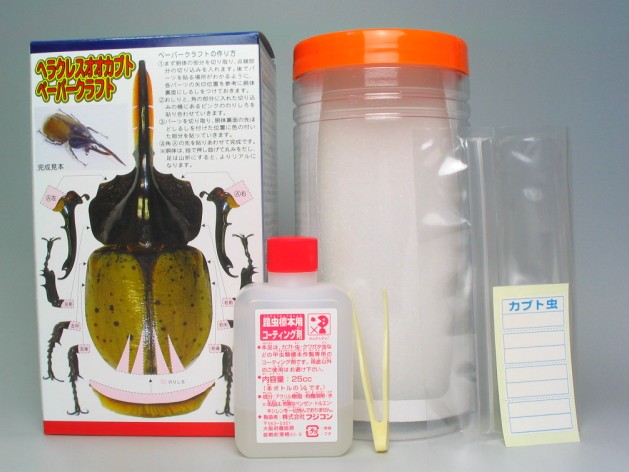 かんたん昆虫標本キット1