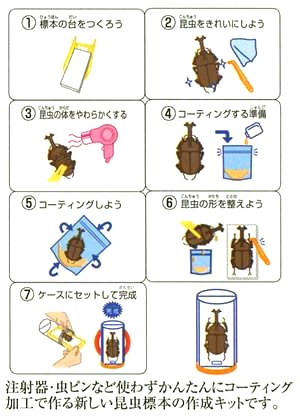 かんたん昆虫標本キットの作成手順