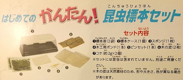 はじめての かんたん昆虫標本セットのセット内容