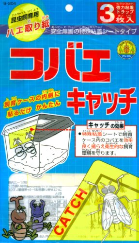 コバエキャッチ表面