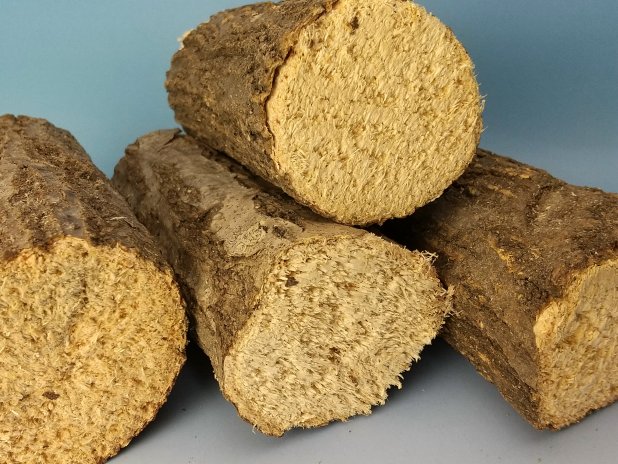 クワガタの産卵用 特A材 【やわらかめ】(産卵木)