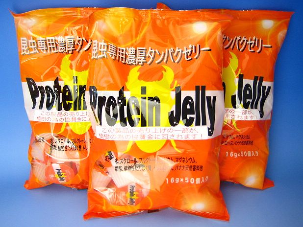 栄養豊富なカブトムシ クワガタムシ用の濃厚タンパクゼリー販売