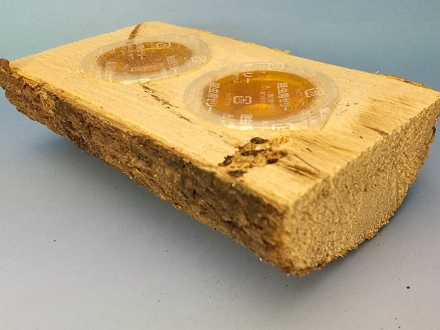 エサ皿 ワイドカップ16g用 1穴