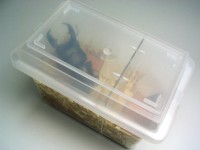 スタック飼育ケースのフタの視界