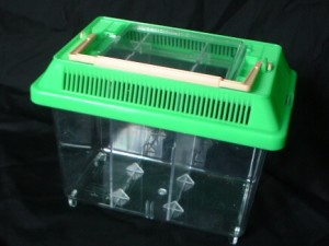 スタンダード飼育ケース